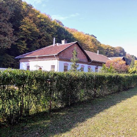 Parva Foresta Apartment Mişcolţ Exterior foto