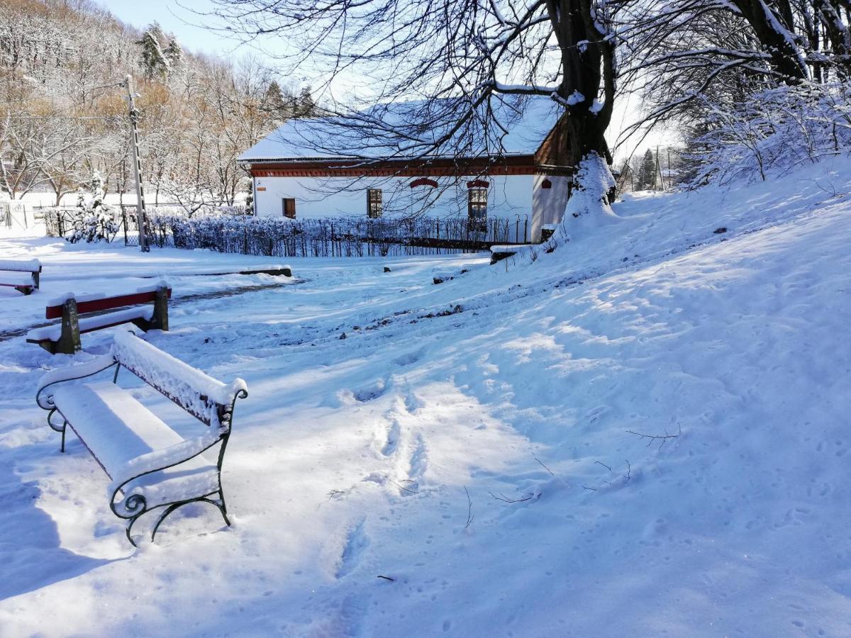 Parva Foresta Apartment Mişcolţ Exterior foto