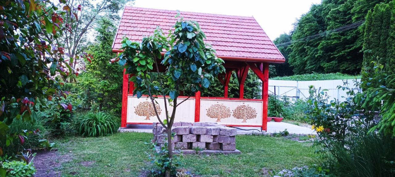 Parva Foresta Apartment Mişcolţ Exterior foto