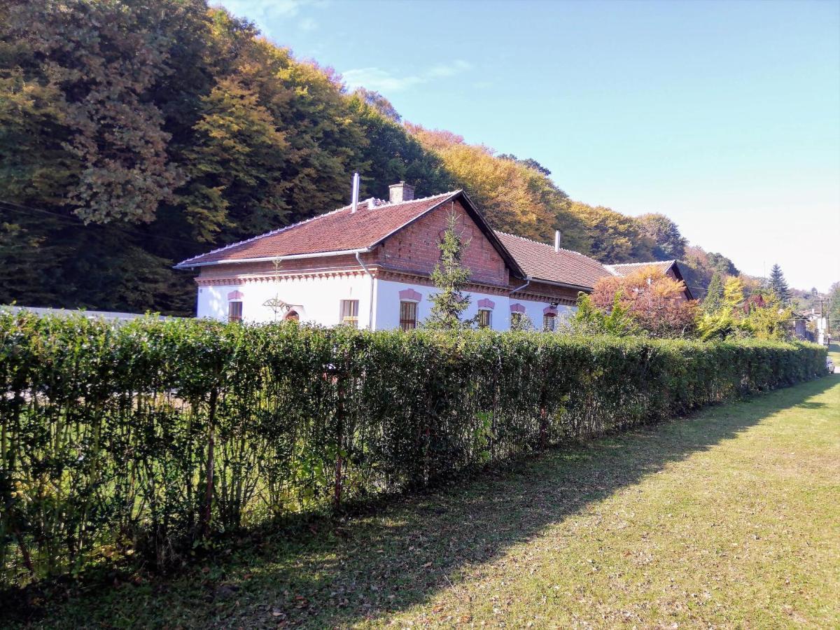 Parva Foresta Apartment Mişcolţ Exterior foto